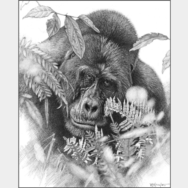 Bracken-loving gorilla by artist Kevin Hayler.   Bracken fern near the gorilla's left cheek.