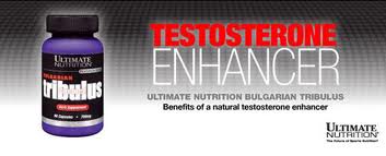 tribulus pills