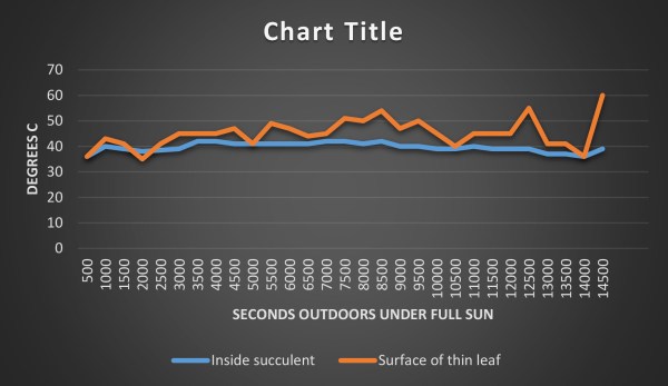Here is an experiment conducted on a hot sunny day Nov. 3 2015. he vertical axis hsows degrees (centigrade). The horizontal axis shows time, spanning roughly 4 hours. he orange line shows he temperatures at the surface of a regular flat leaf. he blue lines shows the temperatures at the same time and place on the inside of a succulent (Aloe) leaf. It stayed mores stable and mostly cooler 