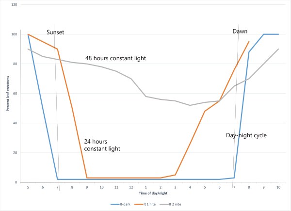 Desmodium light response chart