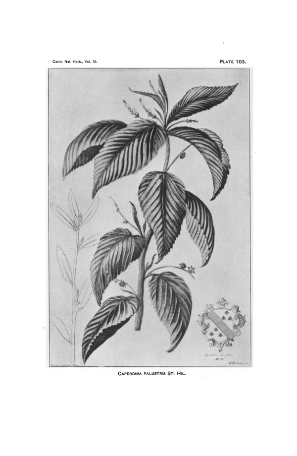 From Tidestrom 1913, first published approx. 1730.