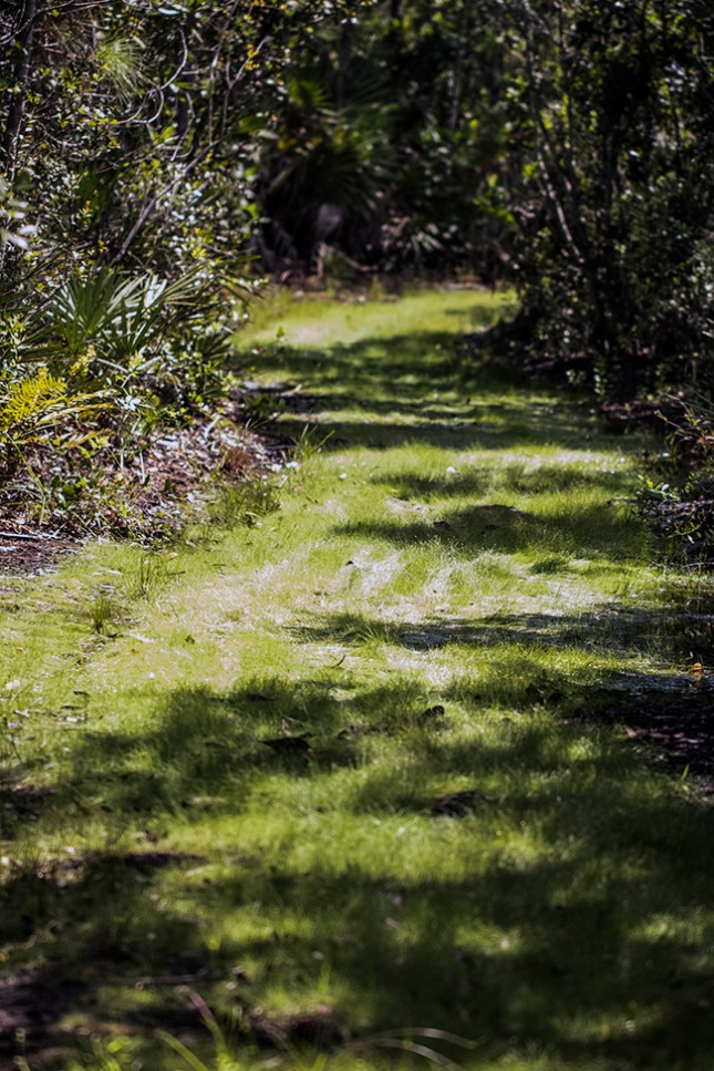 el-path-kiplinger