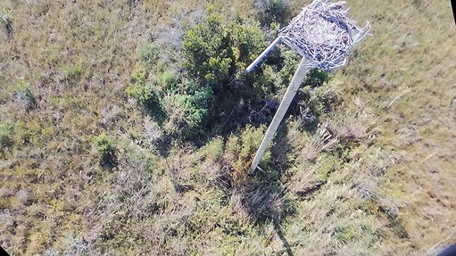 osprey platform still