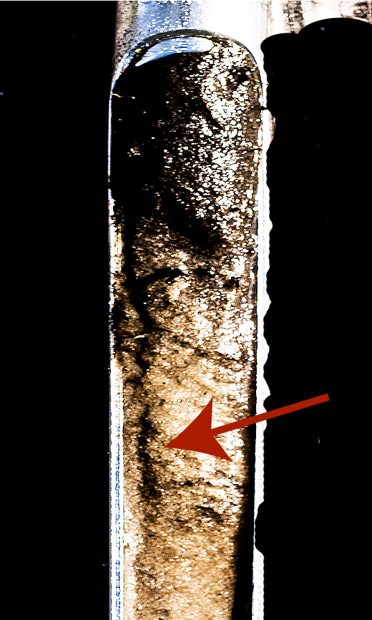 soil core 3 root track
