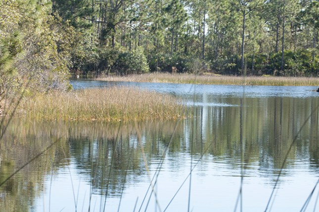 Halpatioke lake