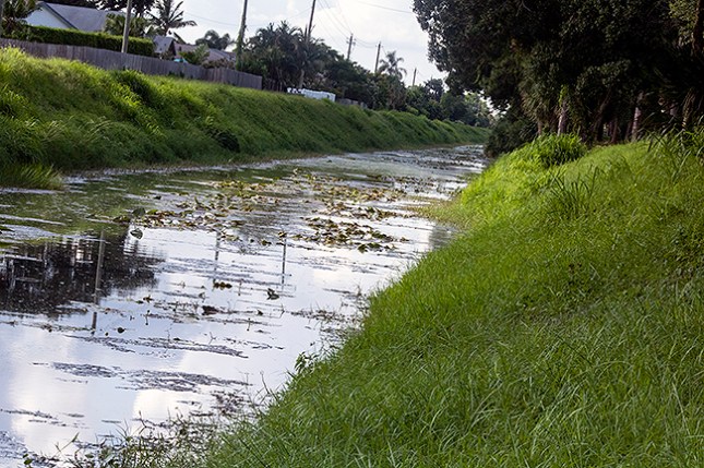 Canal with algae