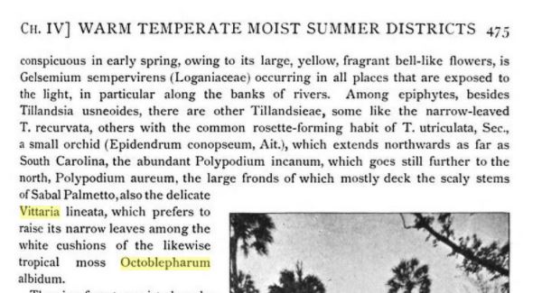 Octoblepharum from pl geo upon a physiological basis