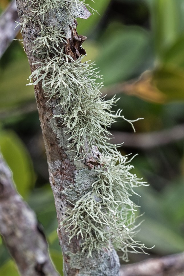 IMG_3465-Edit