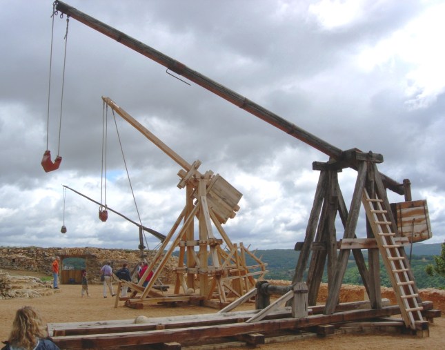 Cuphea Trebuchet_Castelnaud