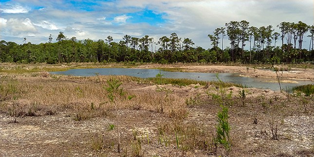 mud flat