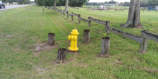 hydrant
