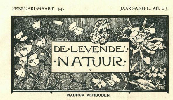 Verboden masthead
